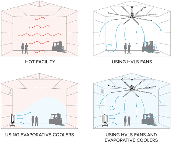 Công ty TNHH Thương mại và Dịch vụ Ngọc Nguyệt
