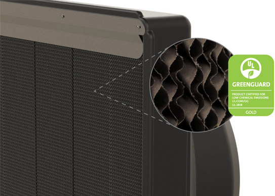 Công ty TNHH Thương mại và Dịch vụ Ngọc Nguyệt