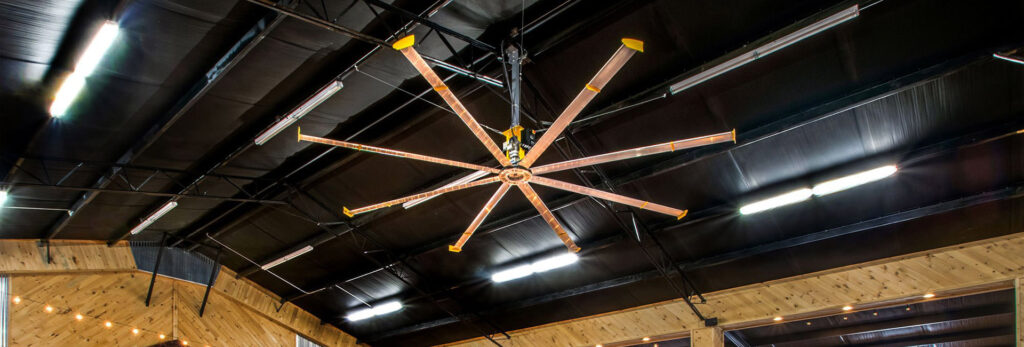 Công ty TNHH Thương mại và Dịch vụ Ngọc Nguyệt