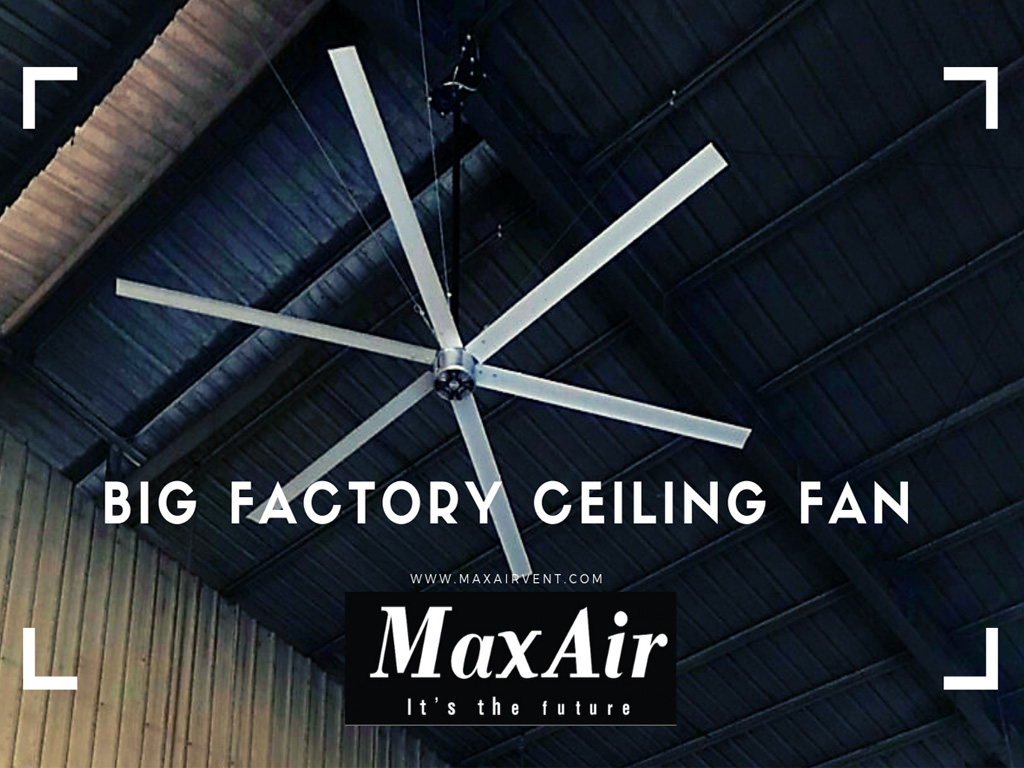 Công ty TNHH Thương mại và Dịch vụ Ngọc Nguyệt