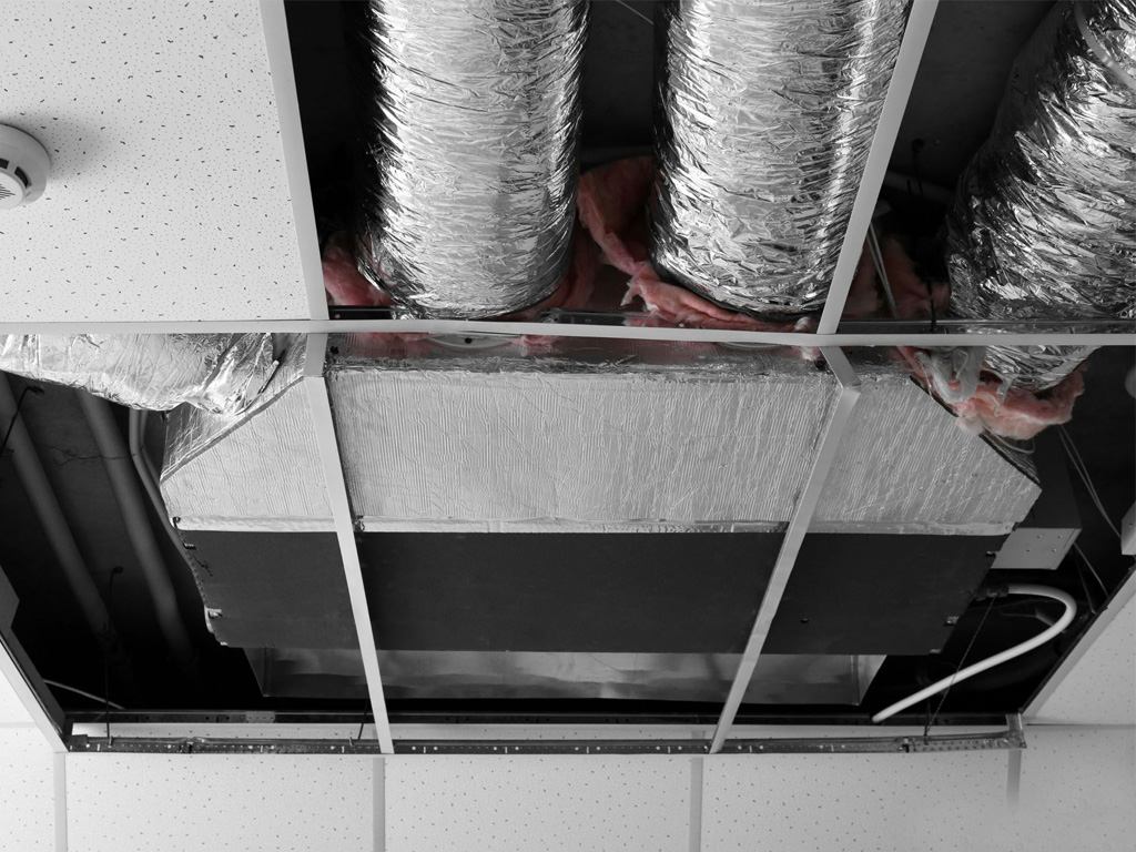 Công ty TNHH Thương mại và Dịch vụ Ngọc Nguyệt