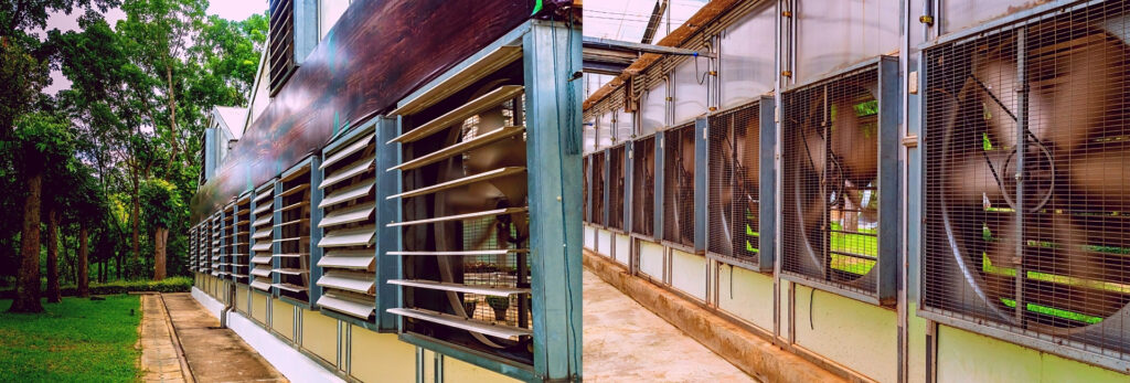 Công ty TNHH Thương mại và Dịch vụ Ngọc Nguyệt