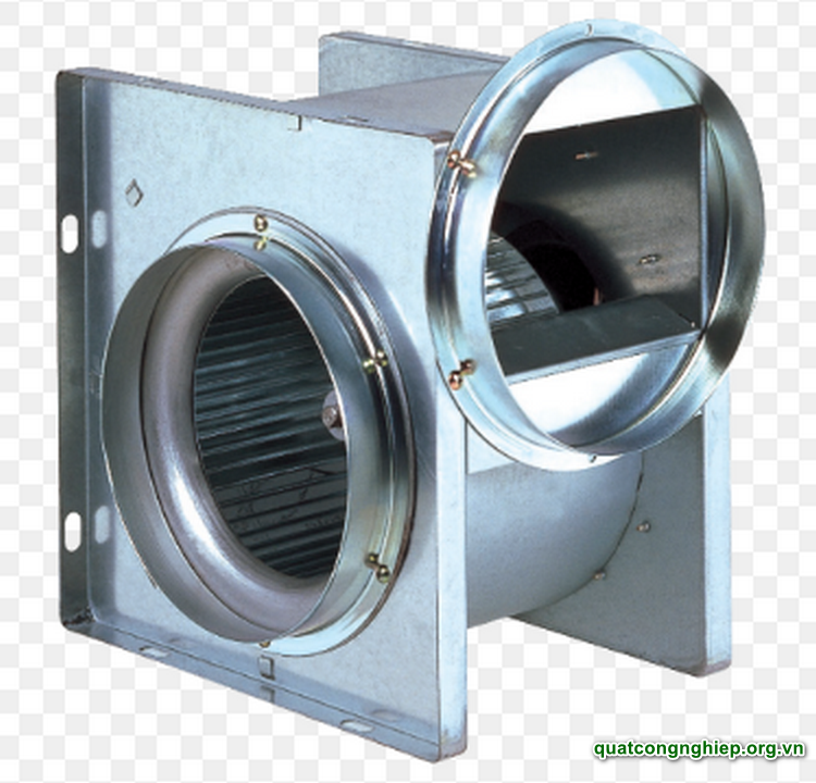 Công ty TNHH Thương mại và Dịch vụ Ngọc Nguyệt