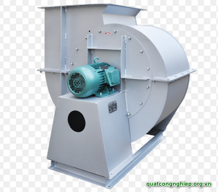 Công ty TNHH Thương mại và Dịch vụ Ngọc Nguyệt