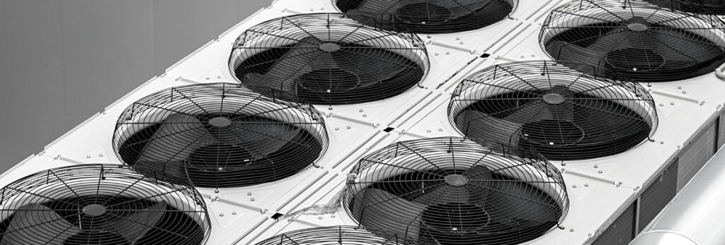 Công ty TNHH Thương mại và Dịch vụ Ngọc Nguyệt