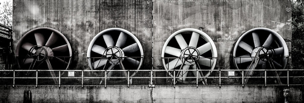 Công ty TNHH Thương mại và Dịch vụ Ngọc Nguyệt