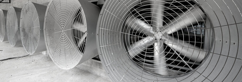 Công ty TNHH Thương mại và Dịch vụ Ngọc Nguyệt