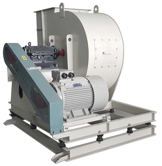 Công ty TNHH Thương mại và Dịch vụ Ngọc Nguyệt