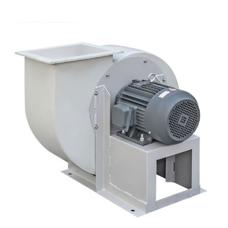 Công ty TNHH Thương mại và Dịch vụ Ngọc Nguyệt