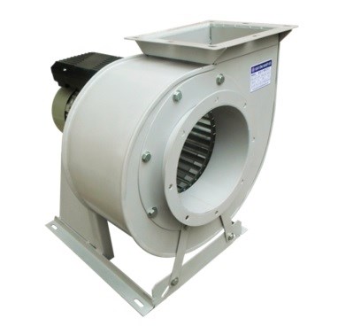 Công ty TNHH Thương mại và Dịch vụ Ngọc Nguyệt