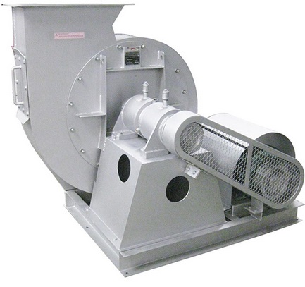 Công ty TNHH Thương mại và Dịch vụ Ngọc Nguyệt