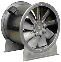 Công ty TNHH Thương mại và Dịch vụ Ngọc Nguyệt