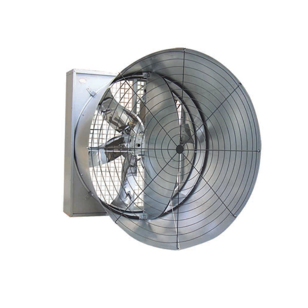 Công ty TNHH Thương mại và Dịch vụ Ngọc Nguyệt