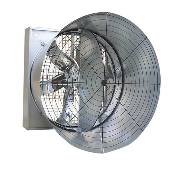 Công ty TNHH Thương mại và Dịch vụ Ngọc Nguyệt