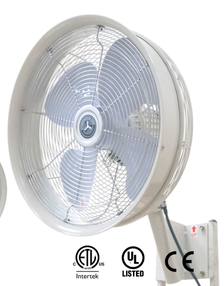 Công ty TNHH Thương mại và Dịch vụ Ngọc Nguyệt